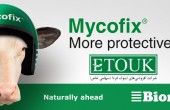 Mycofix Plus